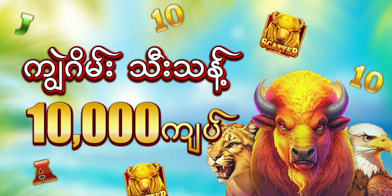 ကျွဲ စလော့ app