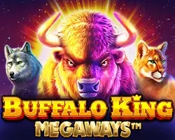 buffalo slot